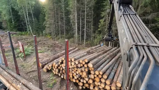 Видео от Союз Лесозаготовителей. Харвестеры и Форвардеры.