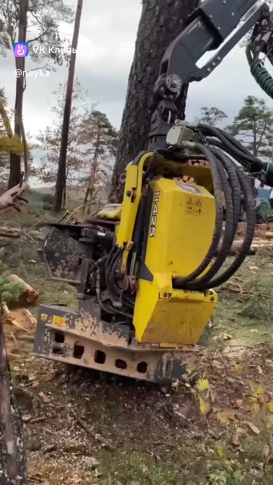 Видео от Союз Лесозаготовителей. Харвестеры и Форвардеры.