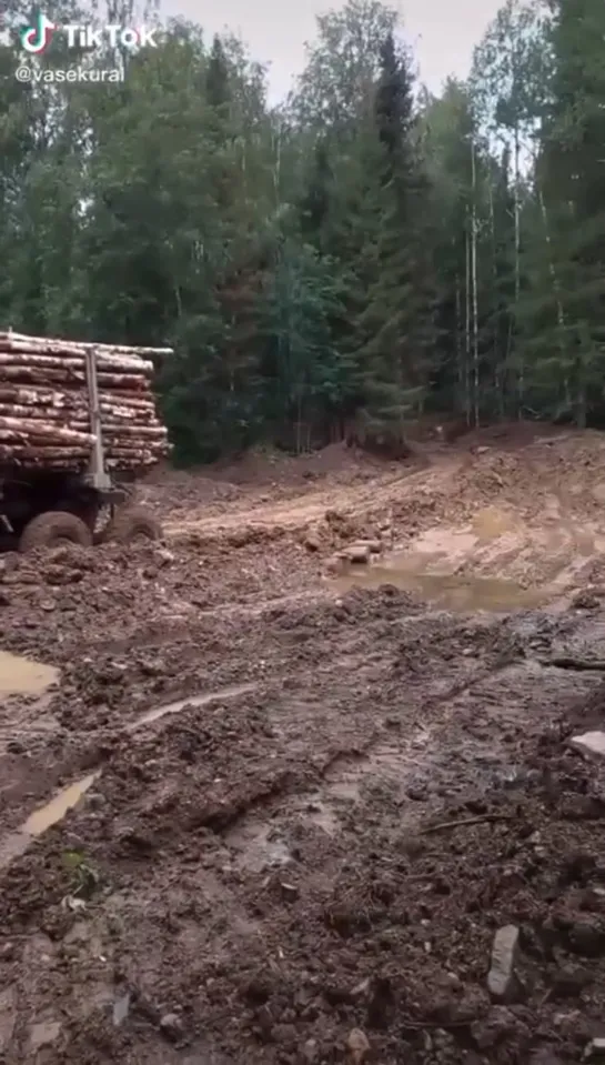 Видео от Союз Лесозаготовителей. Харвестеры и Форвардеры.