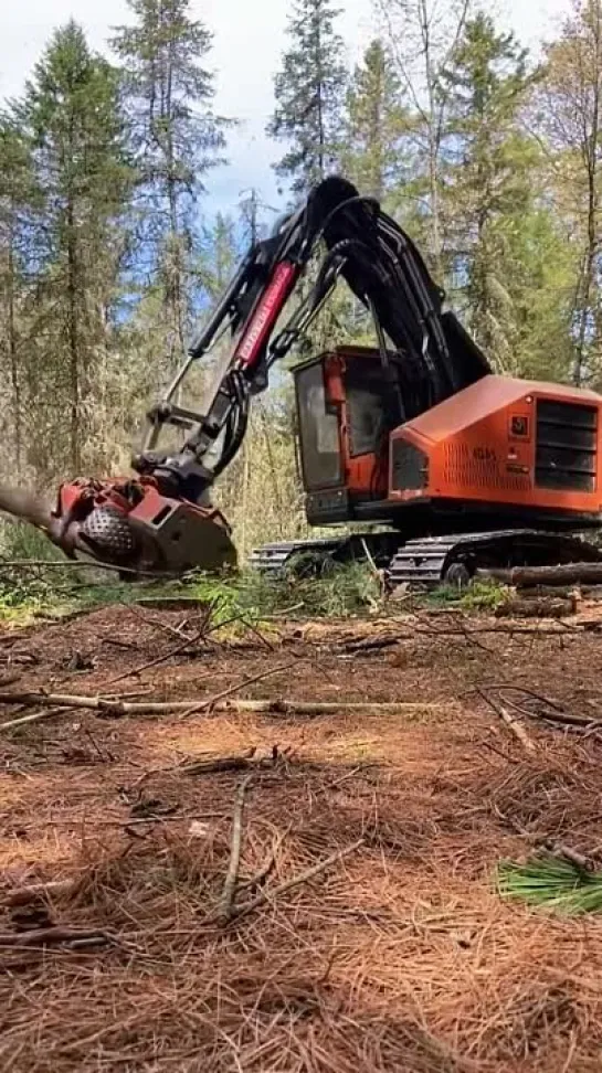 Видео от Союз Лесозаготовителей. Харвестеры и Форвардеры.