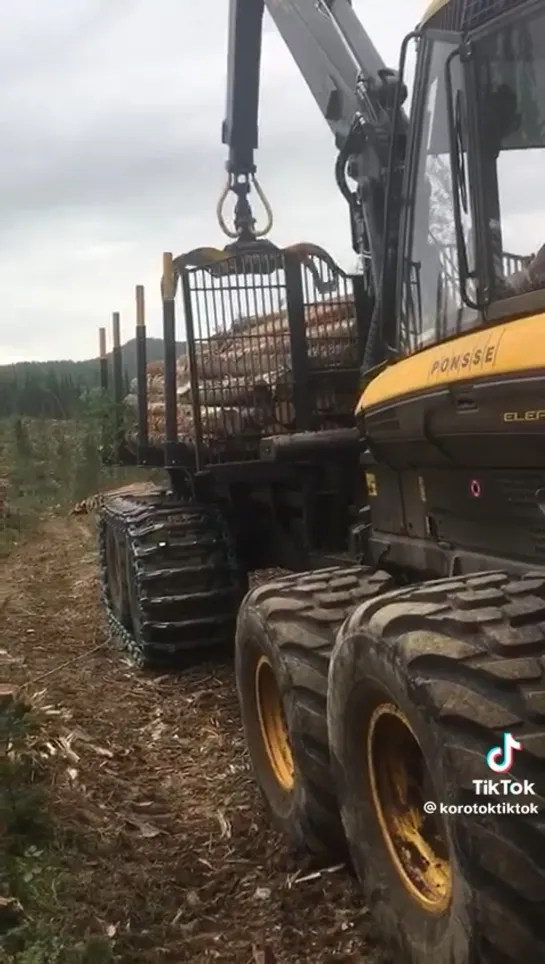 Видео от Союз Лесозаготовителей. Харвестеры и Форвардеры.