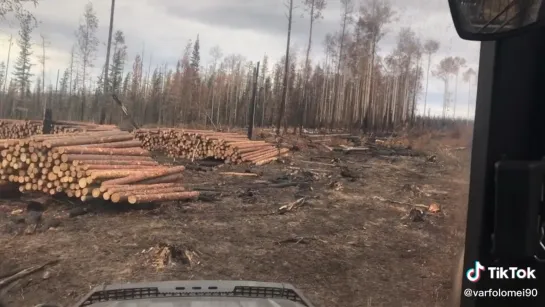 Видео от Союз Лесозаготовителей. Харвестеры и Форвардеры.