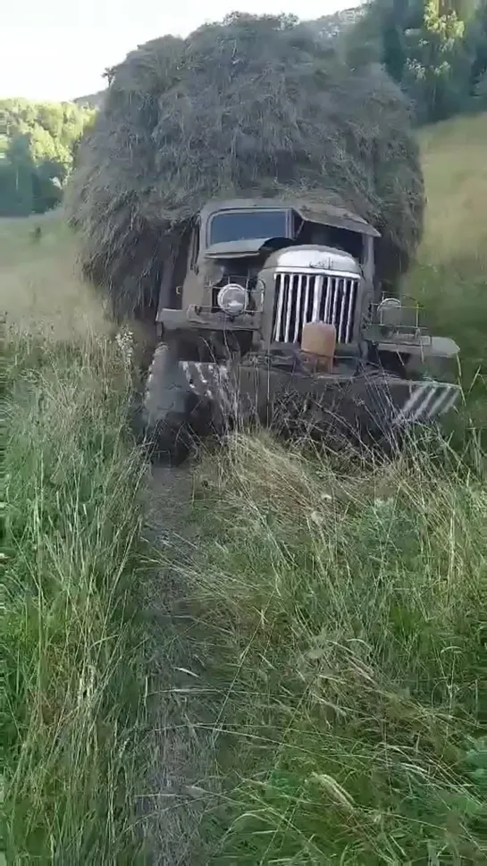 Видео от Союз Лесозаготовителей. Харвестеры и Форвардеры.