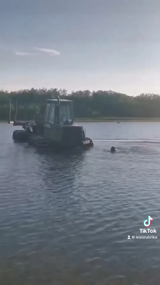 Видео от Союз Лесозаготовителей. Харвестеры и Форвардеры.