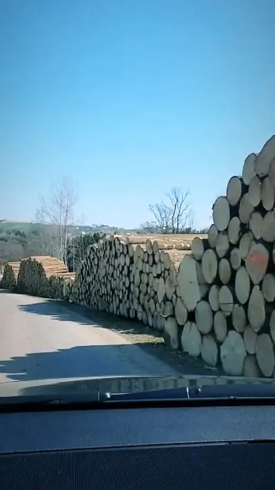 Видео от Союз Лесозаготовителей. Харвестеры и Форвардеры.