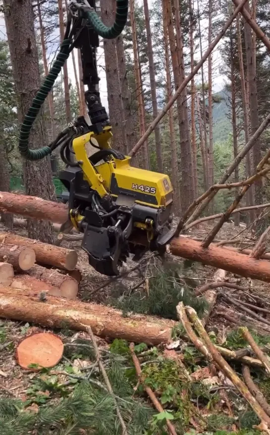 Видео от Союз Лесозаготовителей. Харвестеры и Форвардеры.