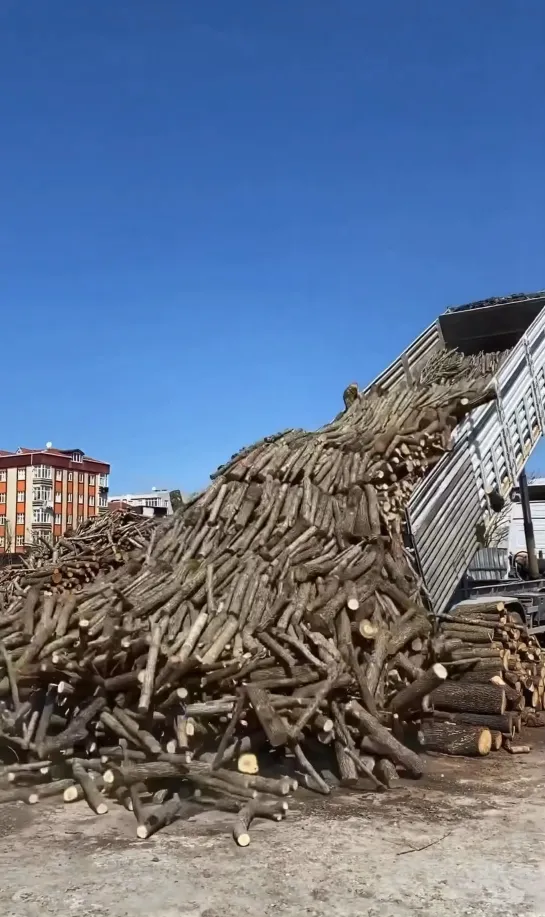 Видео от Союз Лесозаготовителей. Харвестеры и Форвардеры.