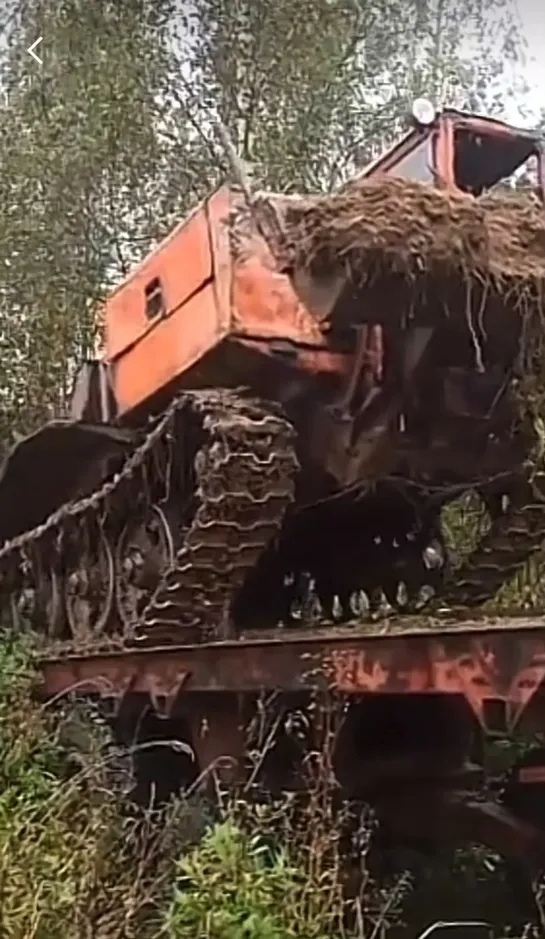 Видео от Союз Лесозаготовителей. Харвестеры и Форвардеры.