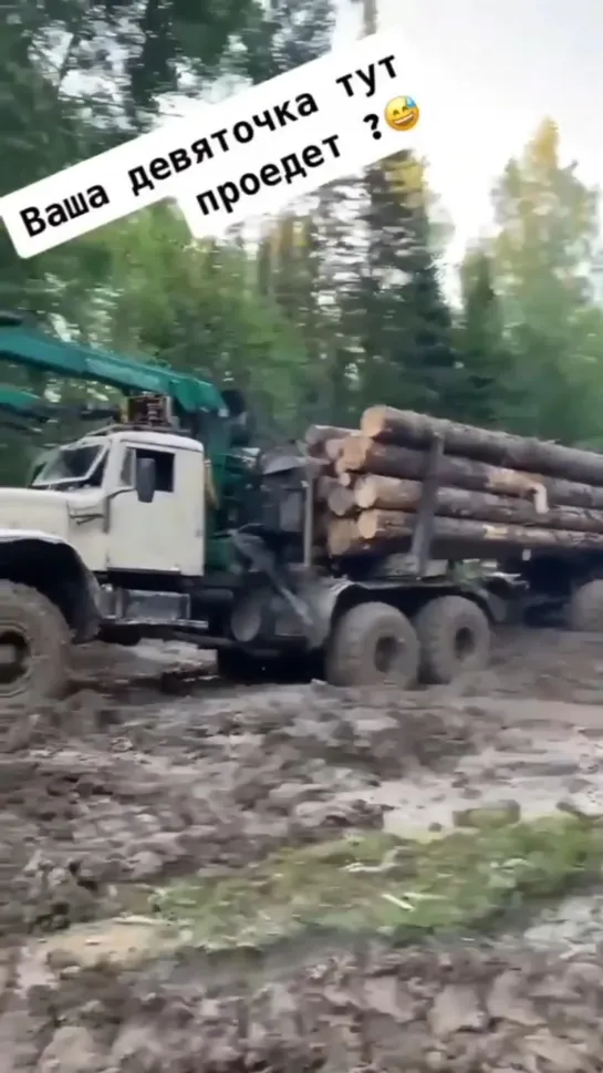 Видео от Союз Лесозаготовителей. Харвестеры и Форвардеры.