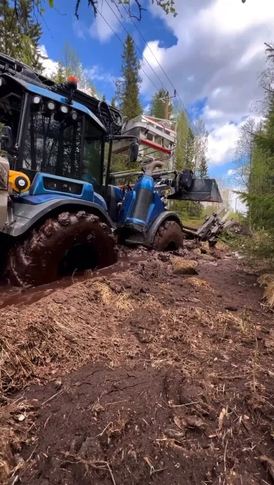 Видео от Союз Лесозаготовителей. Харвестеры и Форвардеры.