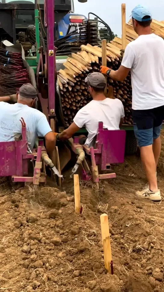 Видео от Союз Лесозаготовителей. Харвестеры и Форвардеры.