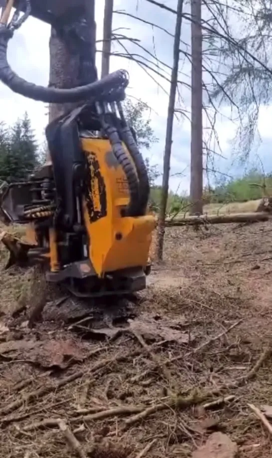 Видео от Союз Лесозаготовителей. Харвестеры и Форвардеры.