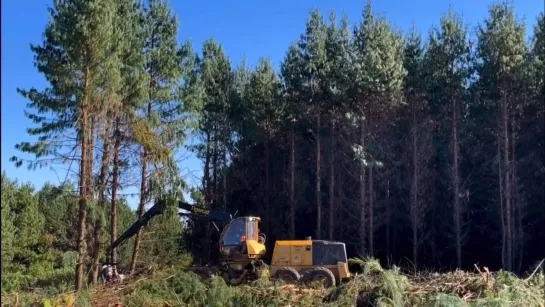 Видео от Союз Лесозаготовителей. Харвестеры и Форвардеры.