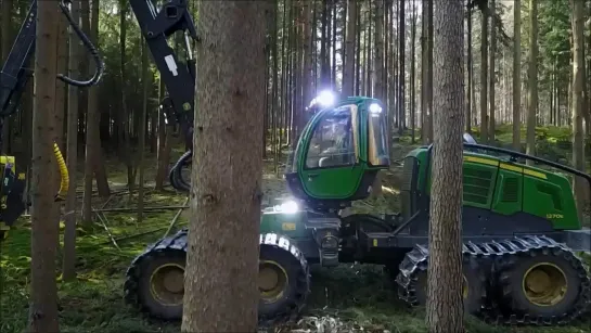 Видео от Союз Лесозаготовителей. Харвестеры и Форвардеры.