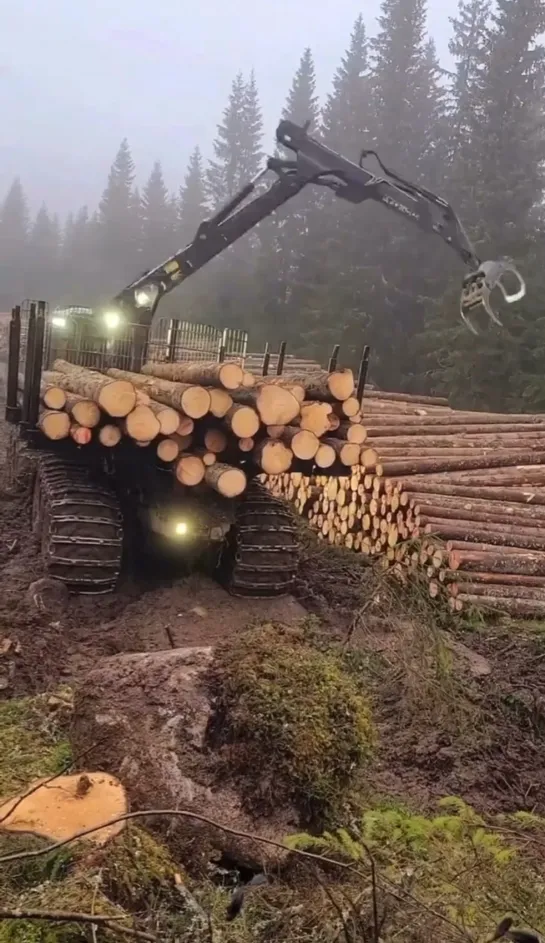 Видео от Союз Лесозаготовителей. Харвестеры и Форвардеры.