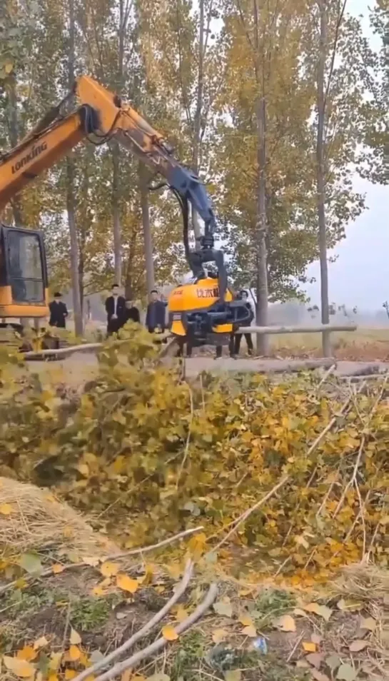 Видео от Союз Лесозаготовителей. Харвестеры и Форвардеры.