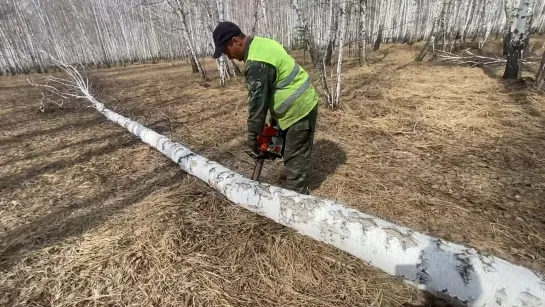 Видео от Союз Лесозаготовителей. Харвестеры и Форвардеры.