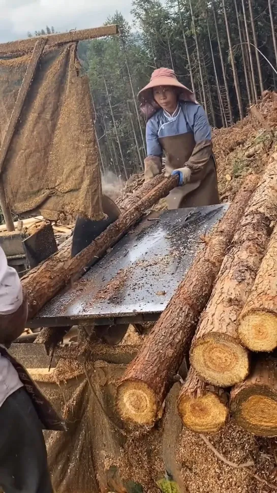 Видео от Союз Лесозаготовителей. Харвестеры и Форвардеры.