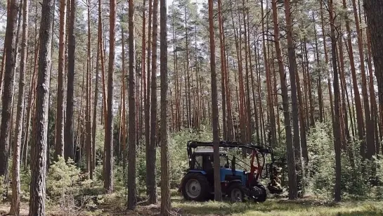 Видео от Союз Лесозаготовителей. Харвестеры и Форвардеры.