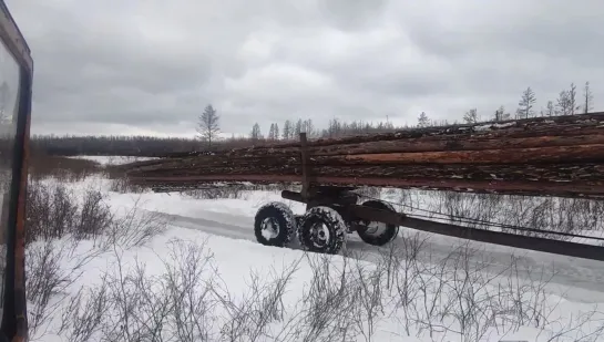 Видео от Союз Лесозаготовителей. Харвестеры и Форвардеры.