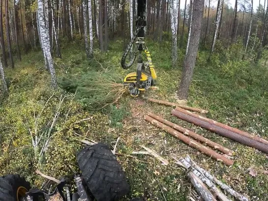 Видео от Союз Лесозаготовителей. Харвестеры и Форвардеры.