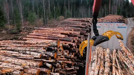 Видео от Союз Лесозаготовителей. Харвестеры и Форвардеры.