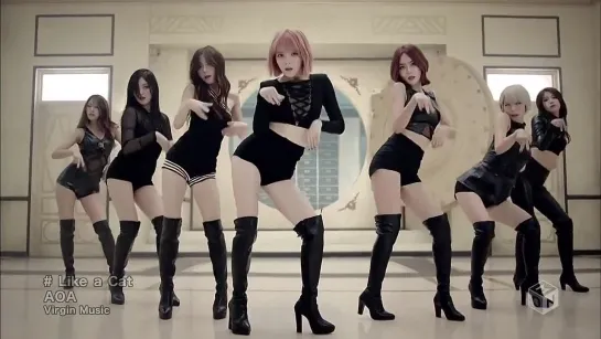 |MV| AOA - LIKE A CAT (Japanese ver.)