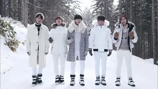 |PV| B1A4 - White Miracle