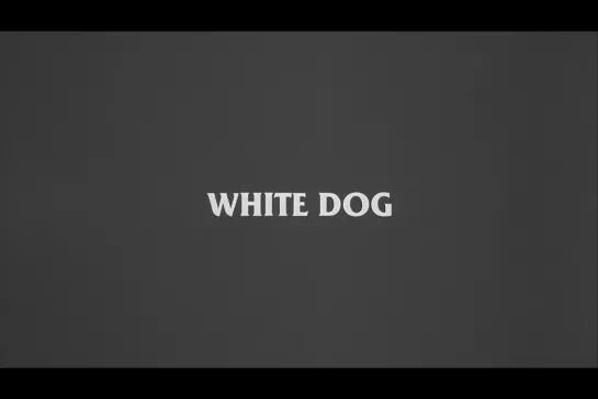 ᴴᴰ Белая собака / White dog (Сэмюэль Фуллер / Samuel Fuller) [1982, США, драма, триллер] (RUS SUB)