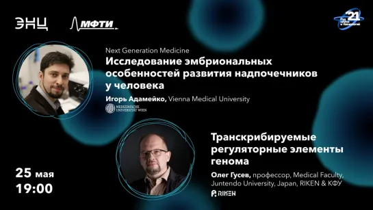 Next Generation Medicine: Исследование эмбриональных особенностей развития надпочечников у человека