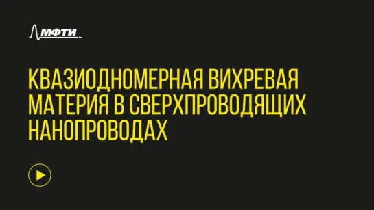 Аркадий Шаненко. Лекция "Квазиодномерная вихревая материя в сверхпроводящих нанопроводах"