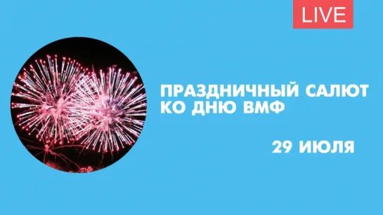 Салют ко Дню военно-морского флота в Петербурге. Онлайн-трансляция