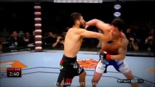 UFC Vine