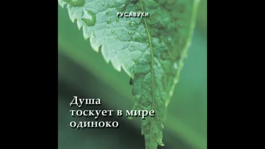 Русавуки - Душа тоскует в мире одиноко (2001)