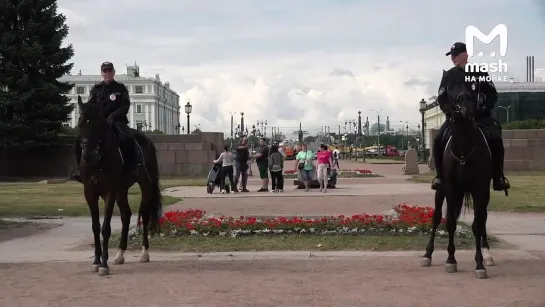 Шериф в городе