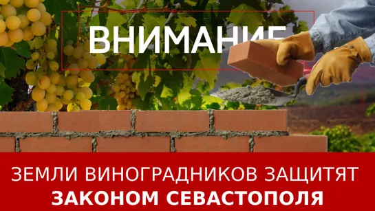 Земли виноградников защитят законом Севастополя