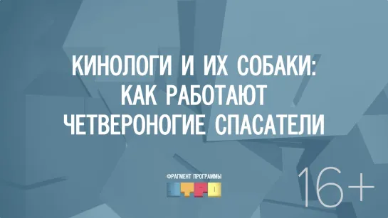 Кинологи и их собаки: как работают четвероногие спасатели