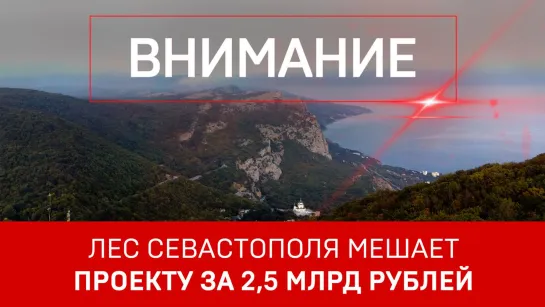 Лес Севастополя мешает проекту за 2,5 млрд рублей