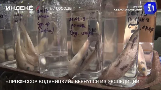 «Профессор Водяницкий» вернулся из экспедиции