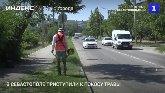 В Севастополе приступили к покосу травы