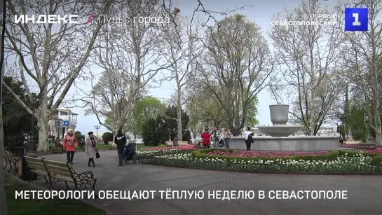 Метеорологи обещают тёплую неделю в Севастополе