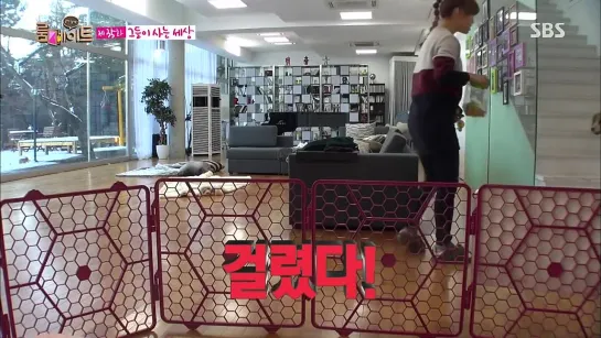 [150113] SBS Roommate Season 2 EP 15: Ёнджи VS Ои