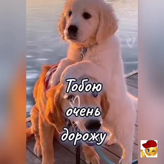 Моему сокровищу❤️