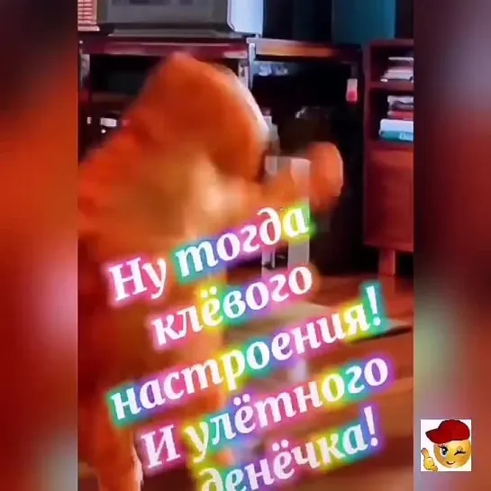 Доброе утро🎉