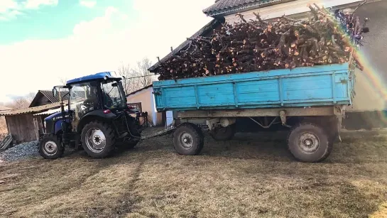 заготовка дров на зиму