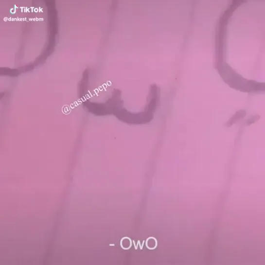 Uwu .mp4