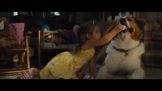 Собачья жизнь 2 | A Dog's Journey (2019) | Трейлер (рус.) HD