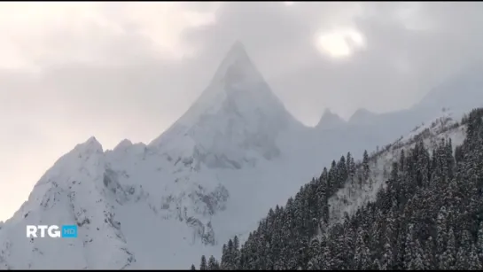 Тюменский криобанк. Холод на службе науки (2014)