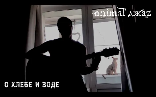 Animal ДжаZ — О хлебе и воде