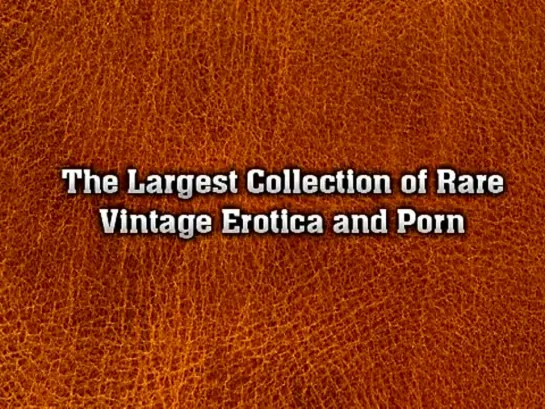 1970s-retro-porn-tube-videos-hairy-pussy-secretaries-boss-blowjob-ride-fucking-cock